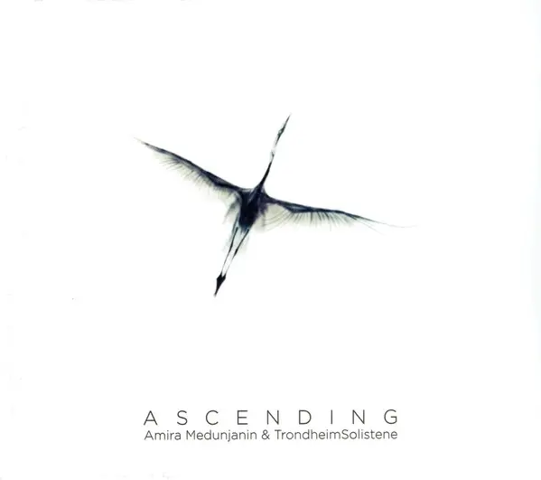 Amira (3), Trondheimsolistene - Ascending-0