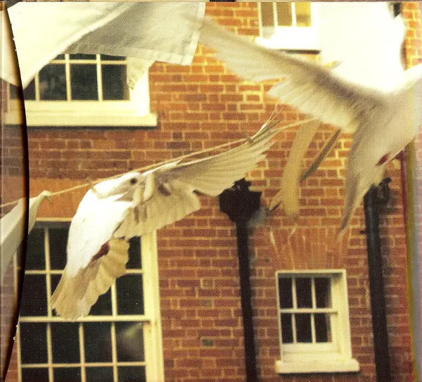 Kate Bush - Aerial-7