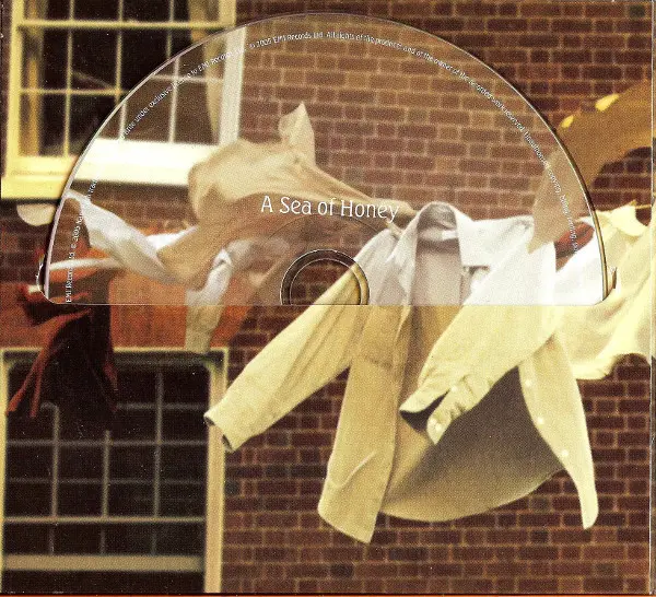 Kate Bush - Aerial-5