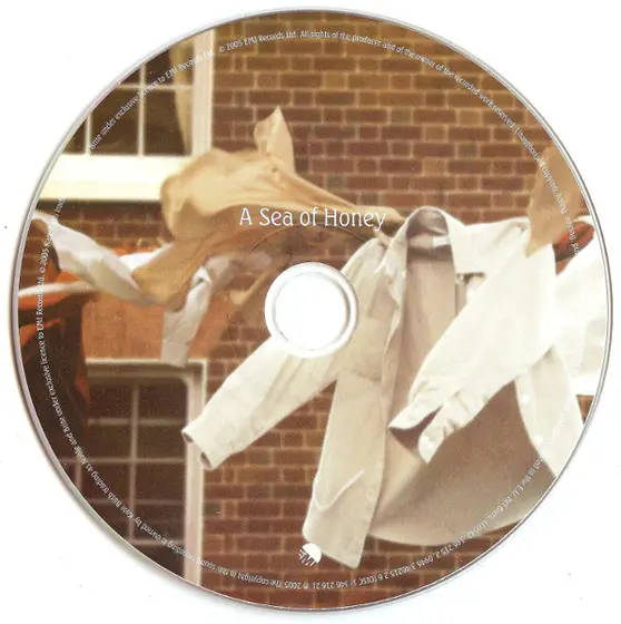 Kate Bush - Aerial-3