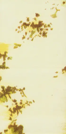 Lambchop - AWCMON / NOYOUCMON-7