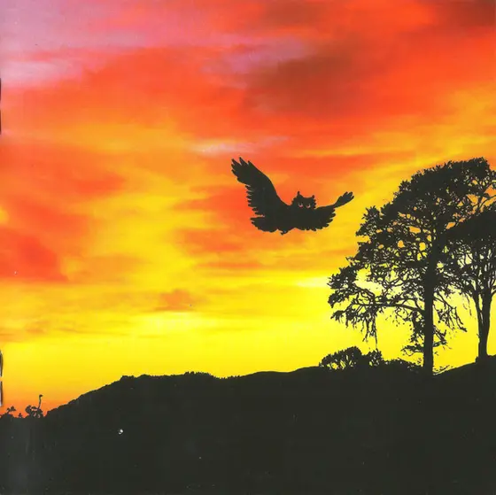 Ryan Adams & The Cardinals - Cold Roses-11
