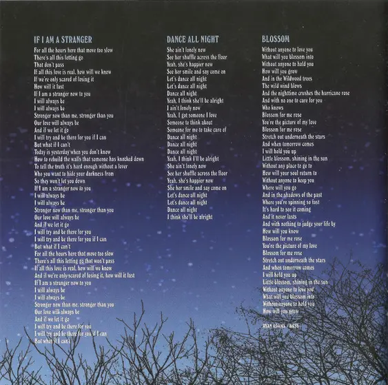 Ryan Adams & The Cardinals - Cold Roses-14