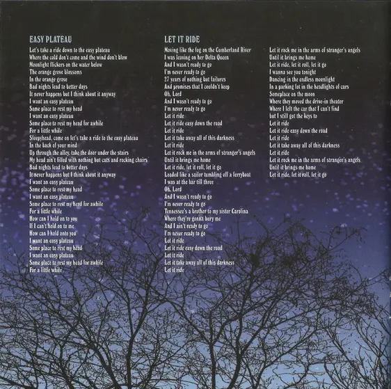 Ryan Adams & The Cardinals - Cold Roses-12