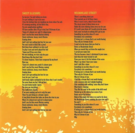 Ryan Adams & The Cardinals - Cold Roses-6