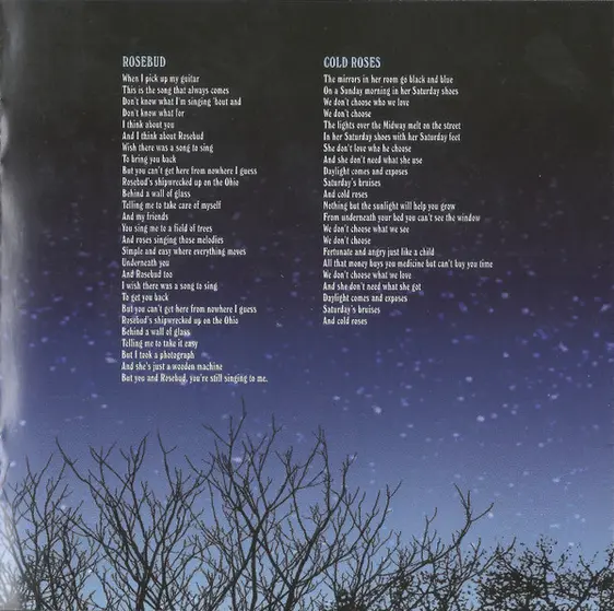 Ryan Adams & The Cardinals - Cold Roses-13
