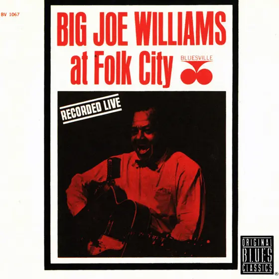 Big Joe Williams - At Folk City-0