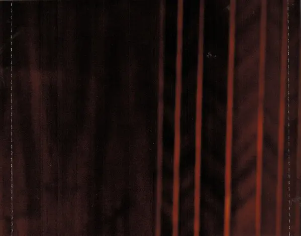 Julia Fischer (4), Johann Sebastian Bach - The Academy Of St. Martin-in-the-Fields - Bach Concertos-9
