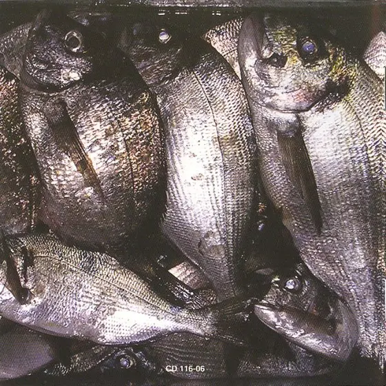 Kopito - Riba-3