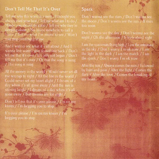 Amy MacDonald - A Curious Thing-4