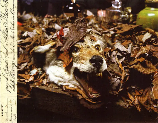 3 Doors Down - Seventeen Days-1