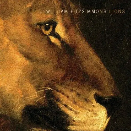 William Fitzsimmons - Lions-0
