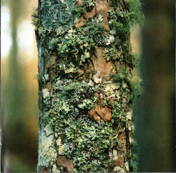 Aqualung - Still Life-11