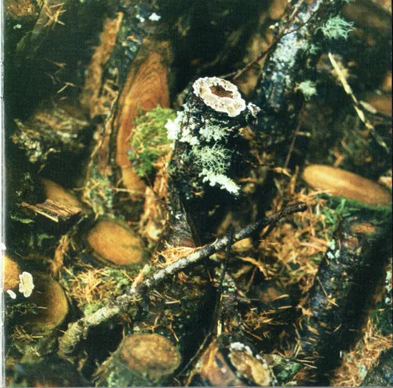 Aqualung - Still Life-7