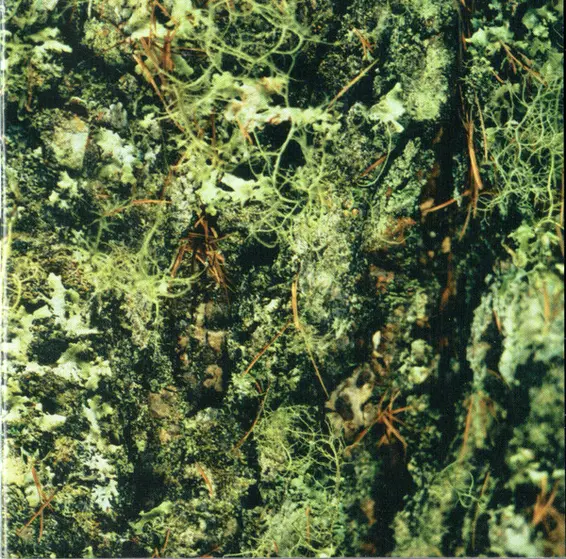 Aqualung - Still Life-5