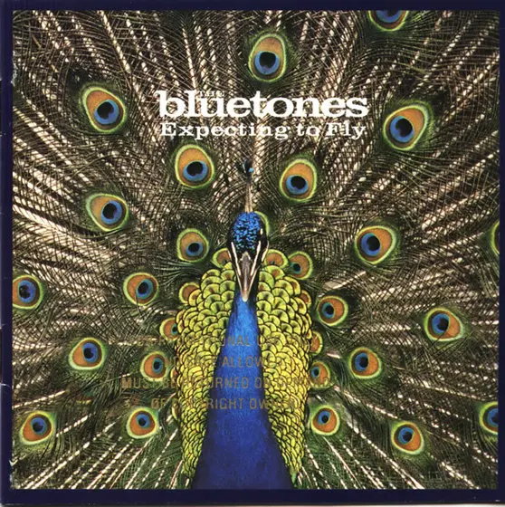 The Bluetones - Expecting To Fly-0