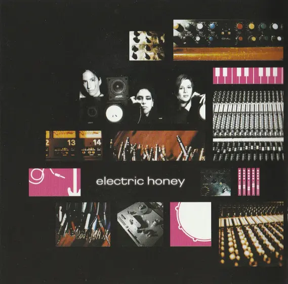 Luscious Jackson - Electric Honey-5