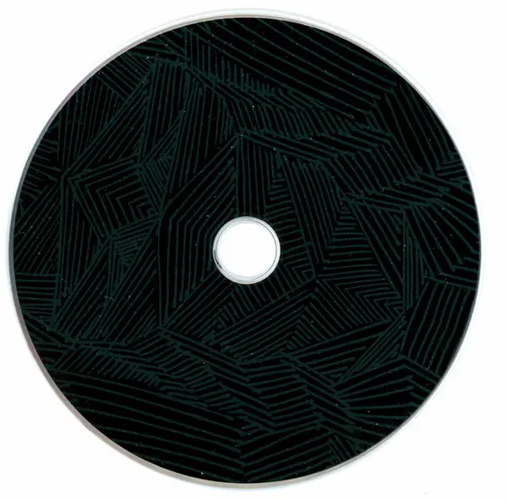 These New Puritans - Beat Pyramid-2