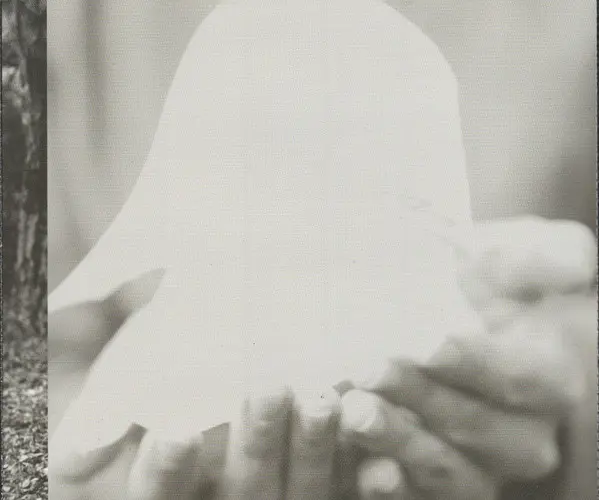 Vienna Teng - Dreaming Through The Noise-14