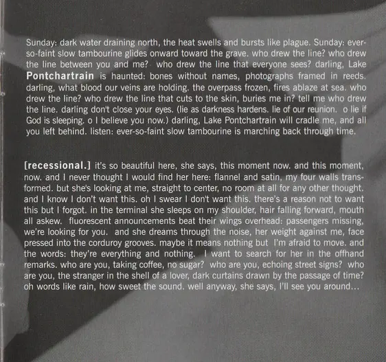 Vienna Teng - Dreaming Through The Noise-10