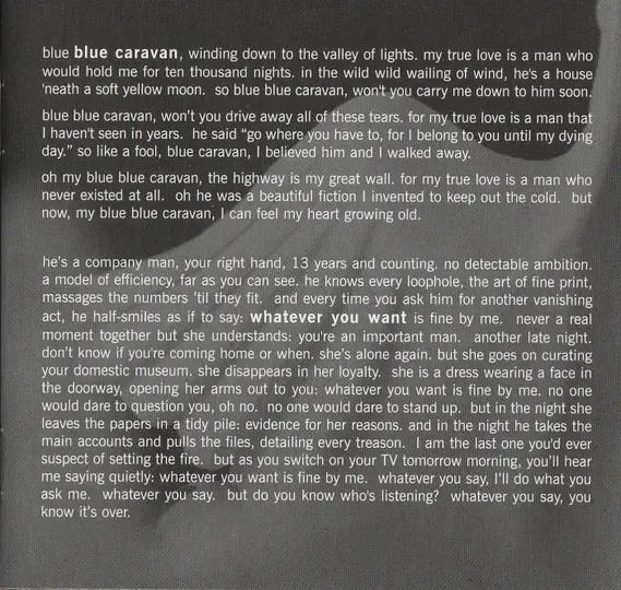Vienna Teng - Dreaming Through The Noise-4