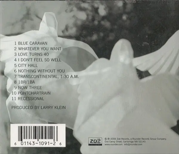 Vienna Teng - Dreaming Through The Noise-1