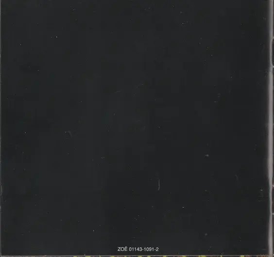 Vienna Teng - Dreaming Through The Noise-13