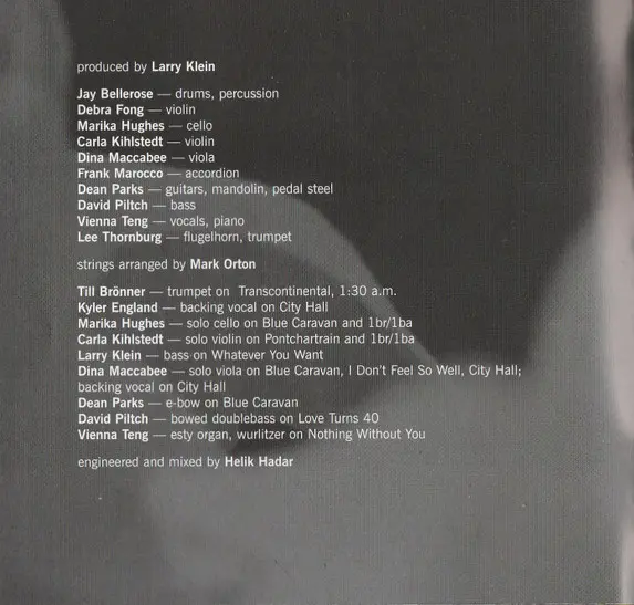 Vienna Teng - Dreaming Through The Noise-3