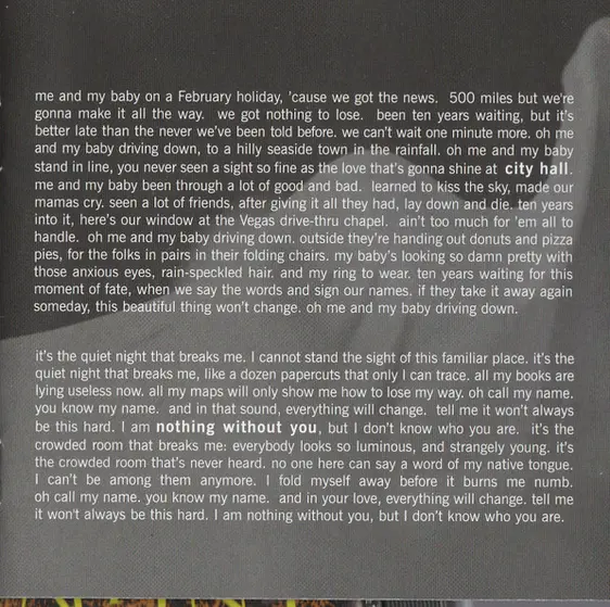 Vienna Teng - Dreaming Through The Noise-6