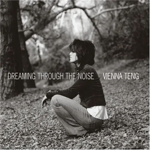 Vienna Teng - Dreaming Through The Noise-0