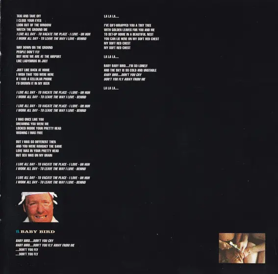 Babybird - Ugly Beautiful-14