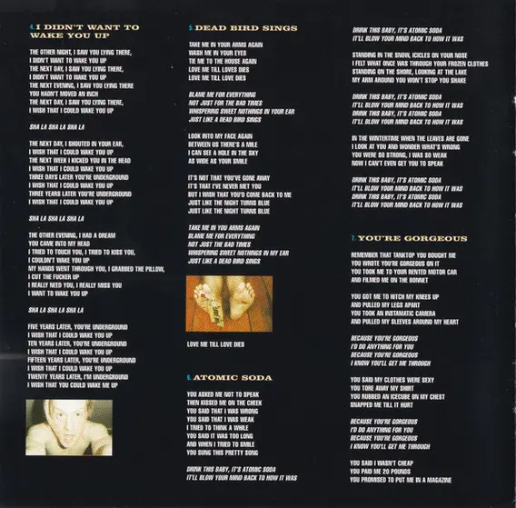 Babybird - Ugly Beautiful-7