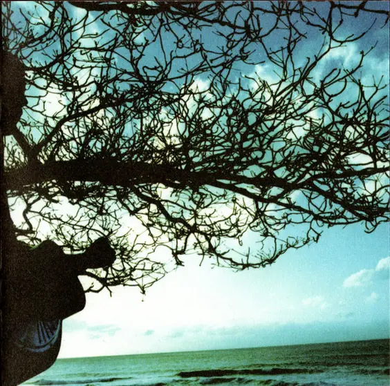 Jack Johnson - On And On-24