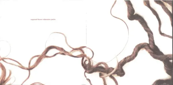 Alanis Morissette - Supposed Former Infatuation Junkie-3