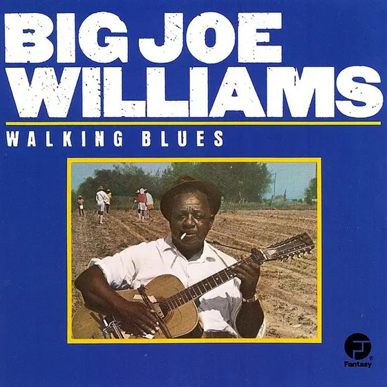 Big Joe Williams - Walking Blues-0
