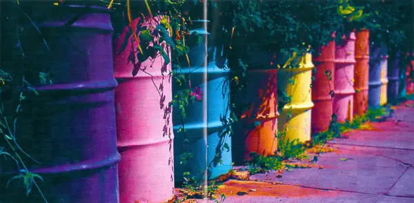 Kirsty MacColl - Tropical Brainstorm-6