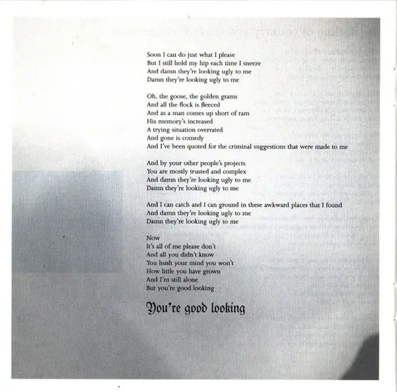 Lambchop - Damaged-17