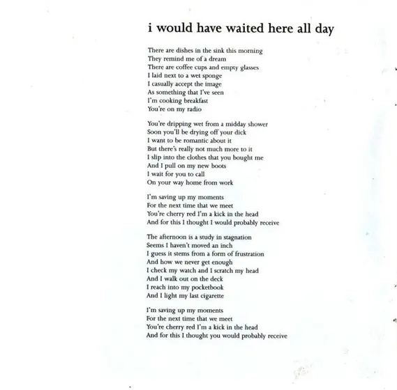 Lambchop - Damaged-11