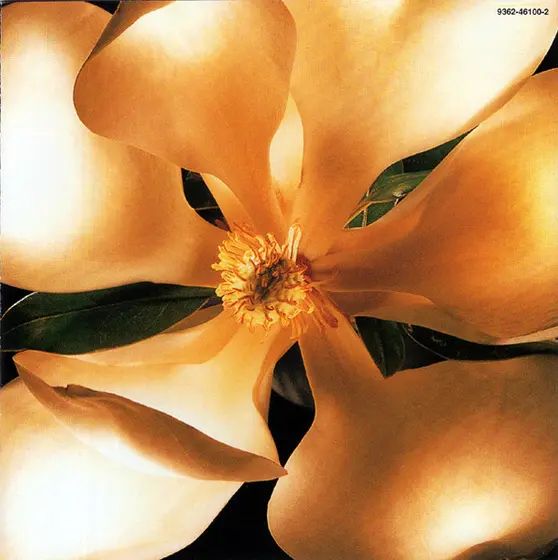 Madonna - Something To Remember-8