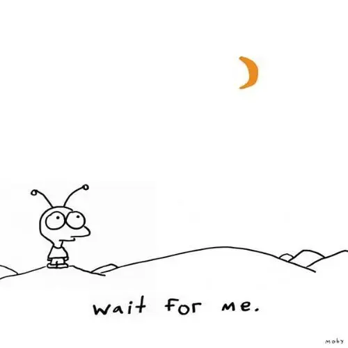 Moby - Wait For Me-0