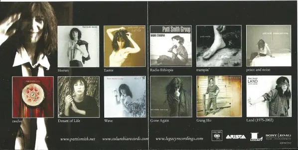 Patti Smith - Twelve-20