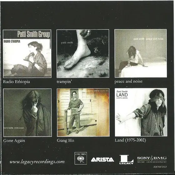 Patti Smith - Twelve-22