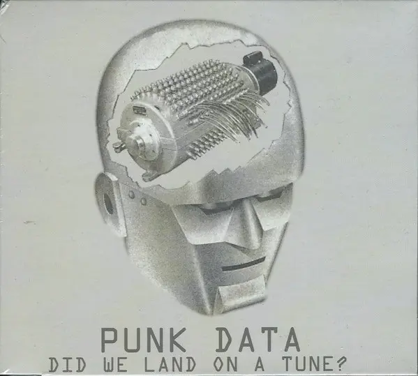 Punk Data - Did We Land On A Tune?-0