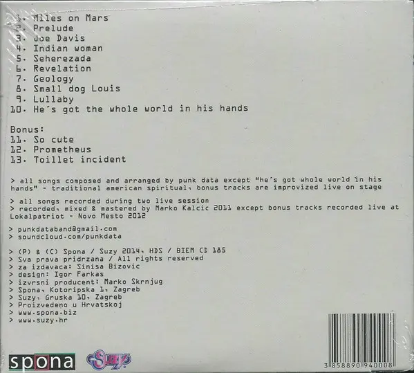 Punk Data - Did We Land On A Tune?-1