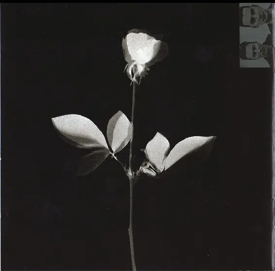 Depeche Mode - Violator-4