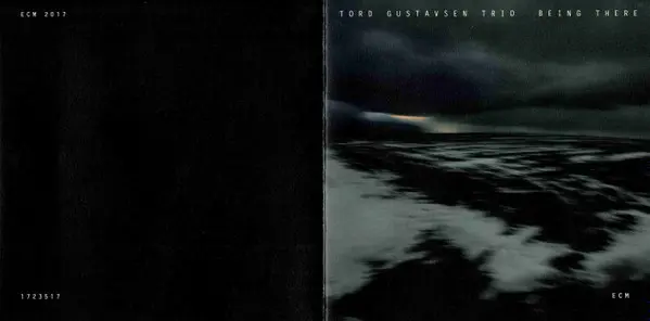 Tord Gustavsen Trio - Being There-6