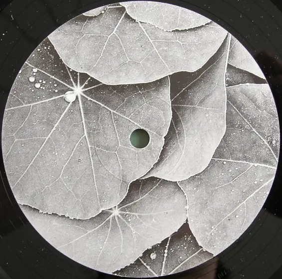 Technasia - Evergreen-0