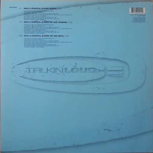Incognito - Wild & Peaceful (K-Dope Mixes)-1