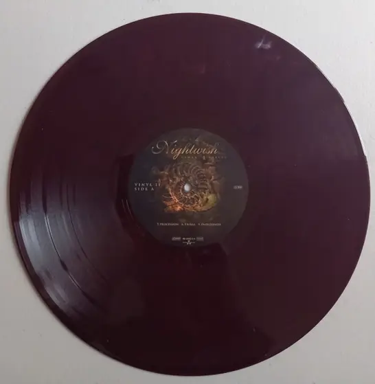 Nightwish - Human. :||: Nature.-21