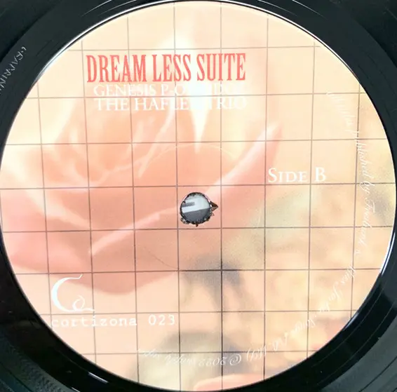Genesis P-Orridge & The Hafler Trio - Dream Less Suite-6